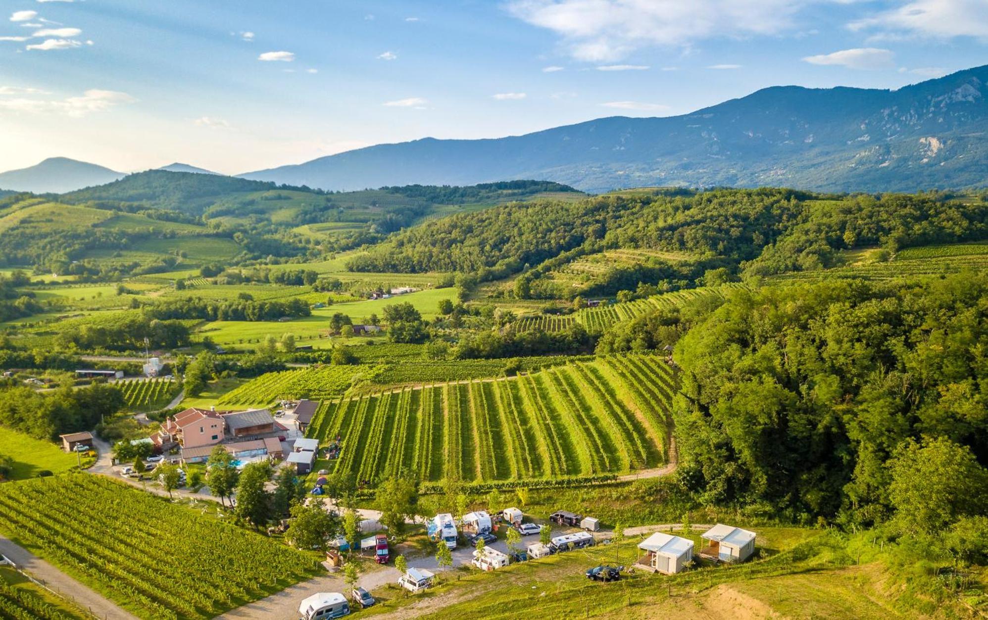 Saxida Wine Estate Hotell Zalosce Exteriör bild